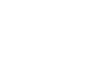 mestiza_logo_blanco